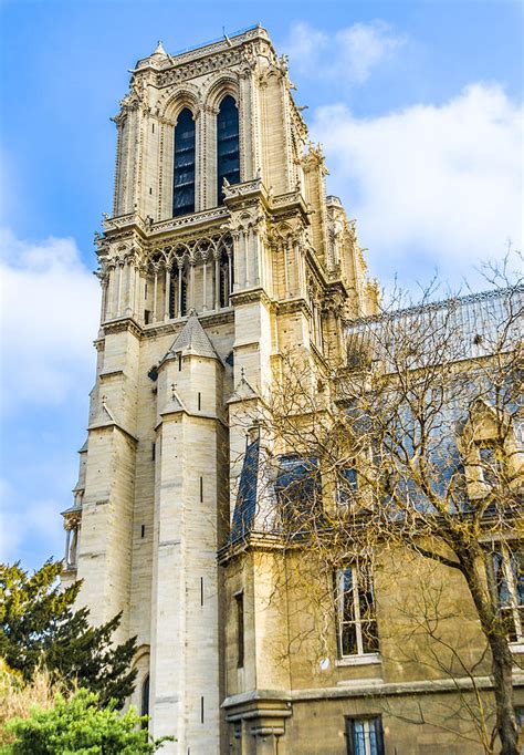 Notre Dame Cathedral Bell Tower - Paris Landmark Photograph by Nila ...