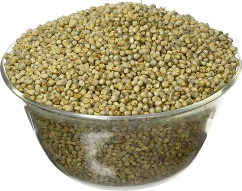 Light Green Natural Whole Bajra For Cooking Cattle Feed Style