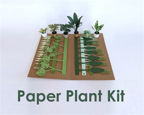 3d Mini Paper Plant Kit Easy Pre Cut Paper Craft Activity Etsy