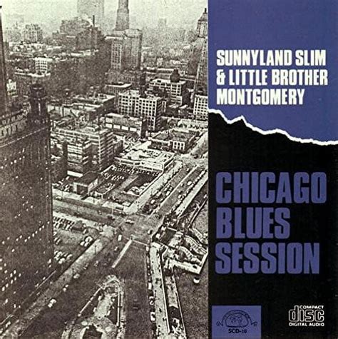 Sunnyland Slim - Chicago Blues - Blues - CD - Walmart.com