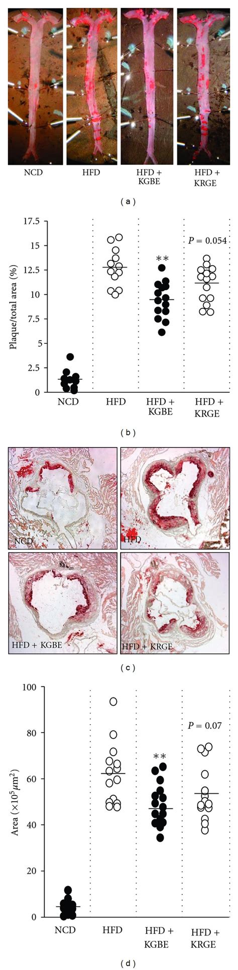 Kgbe Reduces Atherosclerotic Lesion Formation In Apoe−− Mice Fed A Hfd