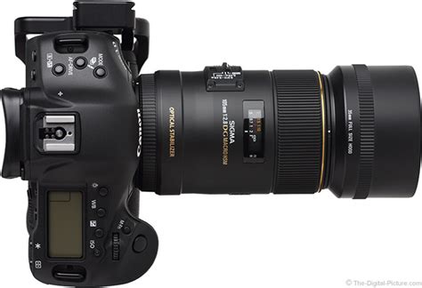 Sigma 105mm F 2 8 EX DG OS HSM Macro Lens Review