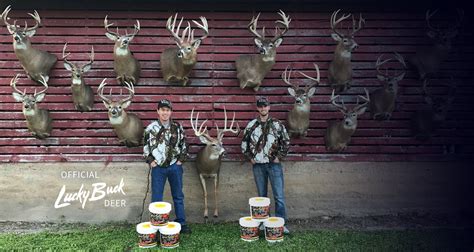 Whitetail Deer Mineral Supplement for Antler Growth Lucky Buck Mineral