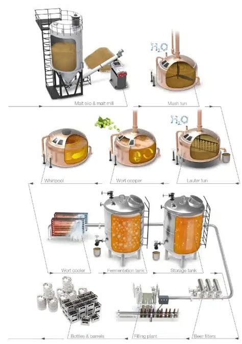 Step By Step Guide To The Beer Brewing Process