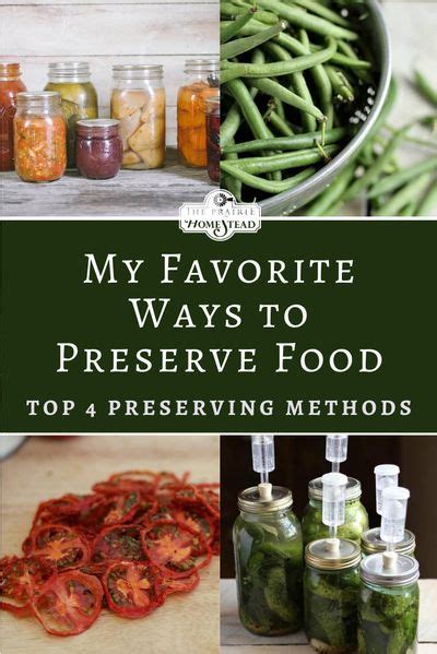 My Favorite Ways To Preserve Food At Home • The Prairie Homestead