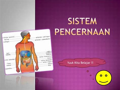 Sistem Pencernaan Ppt Free Download