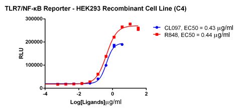 CBP74090 TLR7 NFkB Luc HEK293 肿瘤免疫细胞株 南京科佰生物科技有限公司