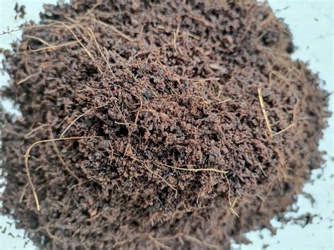 Powder Organic Cocopeat Packaging Type Pp Bag Packaging Size And