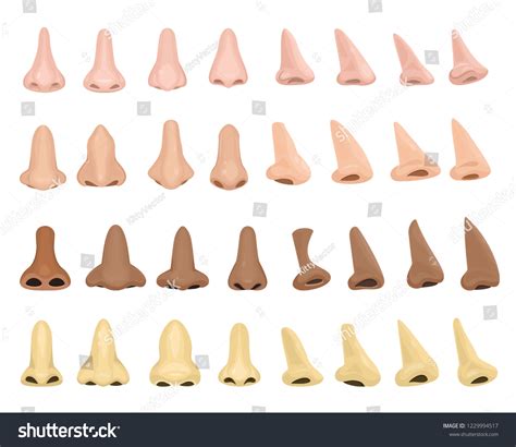 1,192 Roman Nose Images, Stock Photos, 3D objects, & Vectors | Shutterstock