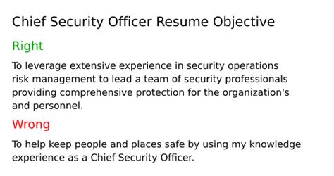 Top 16 Chief Security Officer Resume Objective Examples