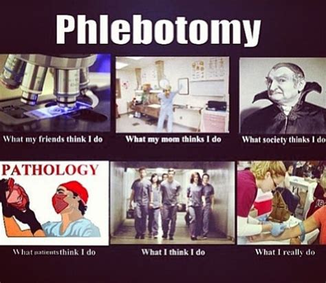 Phlebotomy Quotes. QuotesGram