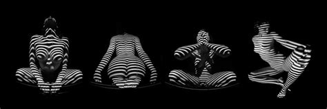 H Stripe Series One Sensual Zebra Woman Abstract Black White Nude To