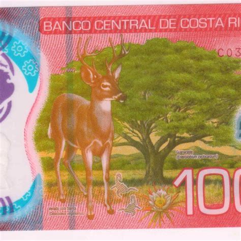 Costa Rica 1000 Colones 2019 Unc Polymer Currency Note KB Coins