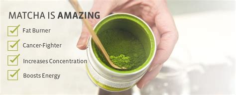 Health Benefits of Matcha Tea - Matcha Source | Matcha benefits, Matcha tea benefits, Matcha tea