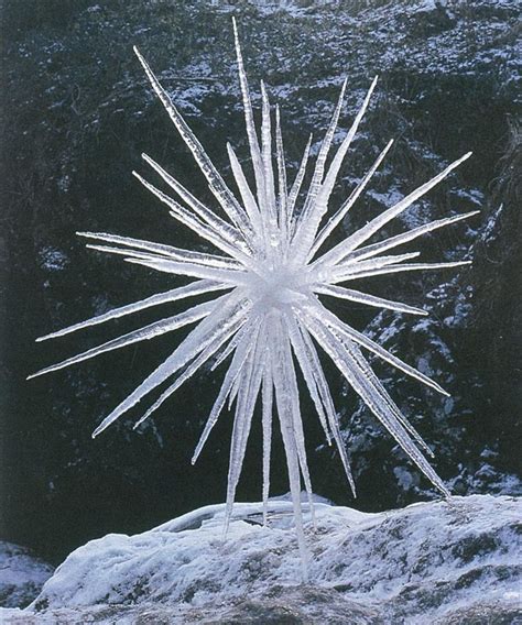 Andy Goldsworthy- Icicle star Andy Goldsworthy... - Emily Phillips