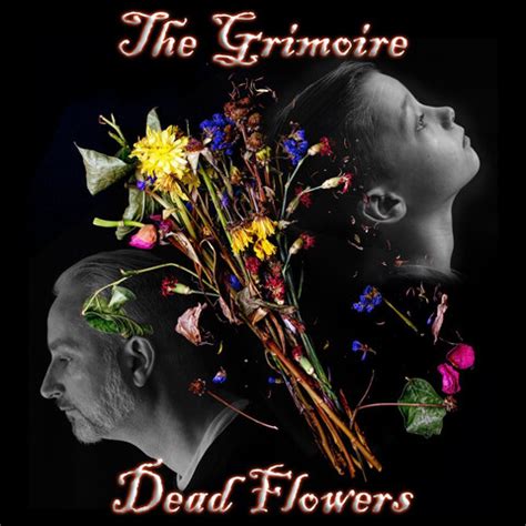 Dead Flowers Song Download: Dead Flowers MP3 Song Online Free on Gaana.com