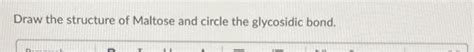 Solved Draw the structure of Maltose and circle the | Chegg.com