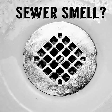 What Causes Sewer Smell In Bathroom Sink – Rispa