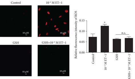 Involvement Of Ros In The Et 1 Reduced So2 Aat Pathway In Situ Download Scientific Diagram