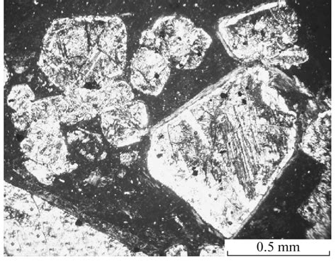 photograph   thin section  porphyris picrite  chkalov area