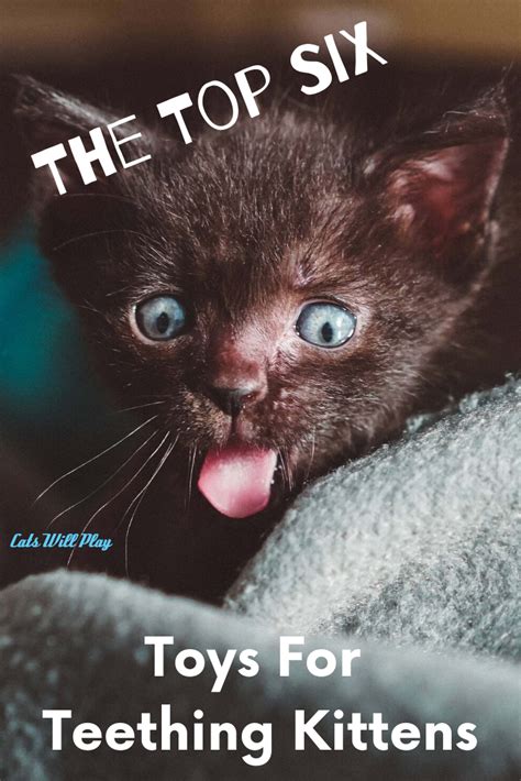 The Top Six Best Kitten Teething Toys - Cats Will Play