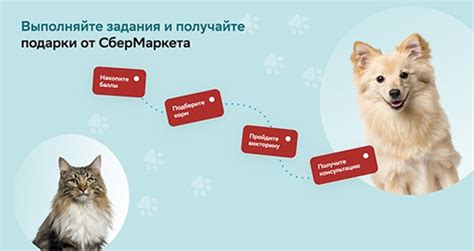 Акция Purina One и СберМаркет: «Карта заданий питомцев»