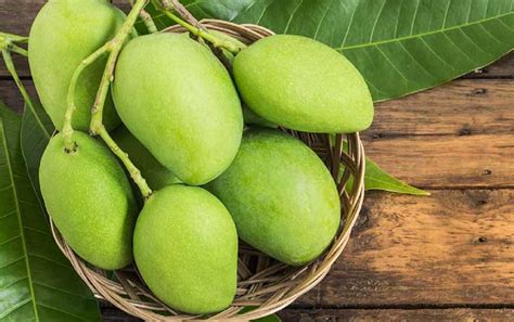 10 Jenis Buah Mangga Paling Enak Di Indonesia Blog Unik