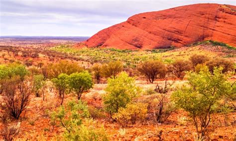 Things to do in Central Australia : Museums and attractions | musement