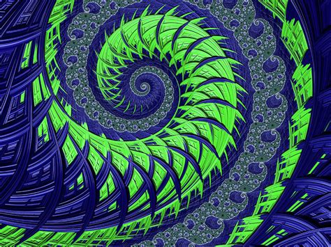 Seahawks Spiral Digital Art By Becky Herrera Pixels