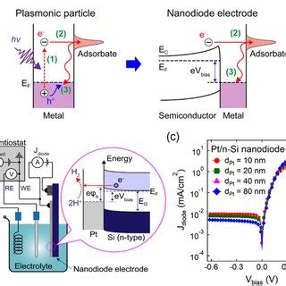 PDF Hot Electron Driven Electrocatalytic Hydrogen Evolution Reaction On Metalsemiconductor