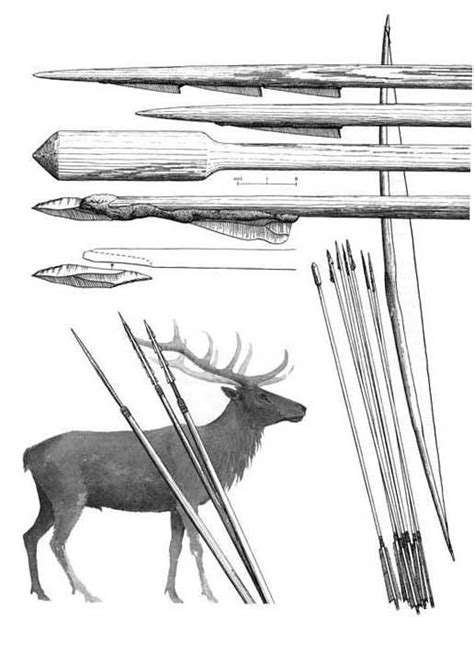 The Stone Age Hunter S Bow And Arrow