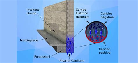 Umidit Di Risalita Le Cause E Le Soluzioni Fai Da Te Definitive Di