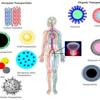 Applications of inorganic and organic nanomaterials in treatment of ... 