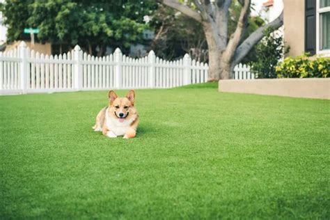 Willow St Easyturf Artificial Grass