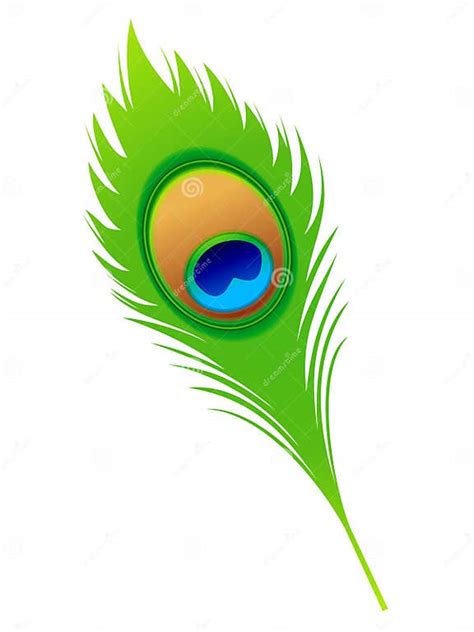 Abstract Artistic Peacock Feather Stock Vector Illustration Of