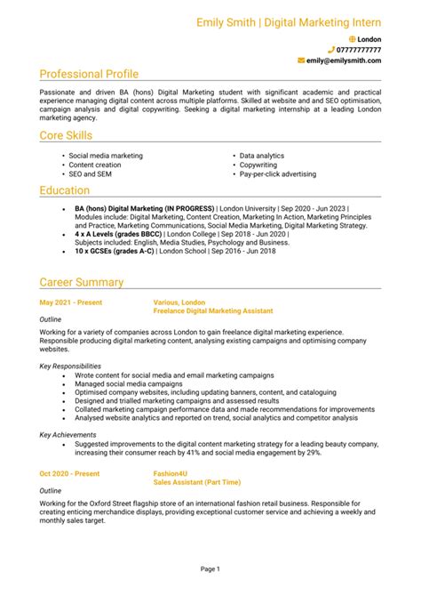 Digital Marketing Cv Examples Guide Cv Template