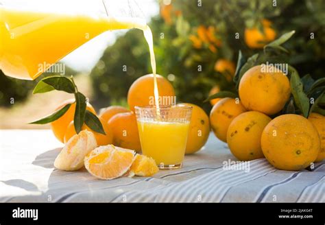 Fresh Orange Juice Pouring From Jug Into Glass On Table In Garden Stock