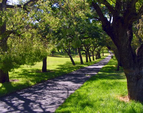 File:Rymill park path.jpg - Wikipedia