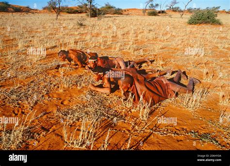 Khoi San Bushmen Hunting Stock Photo Alamy