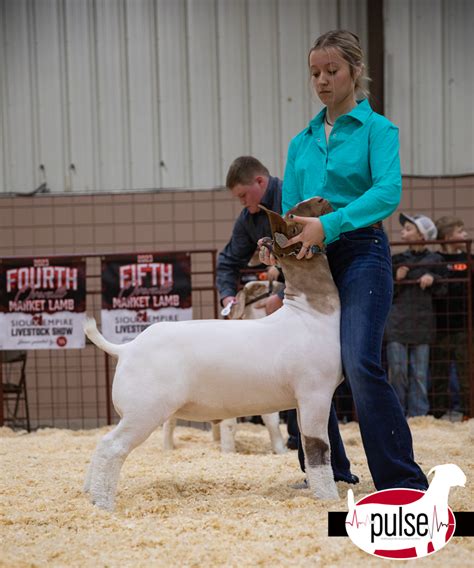 Sioux Empire Livestock Show Top Market Goats The Pulse