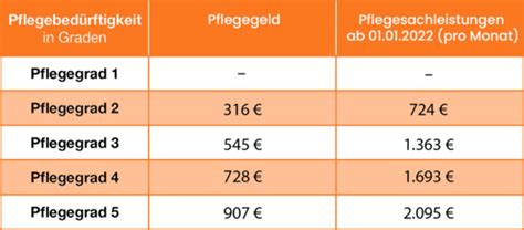 Sofiapflege Kombinationsleistungen In Der Pflege