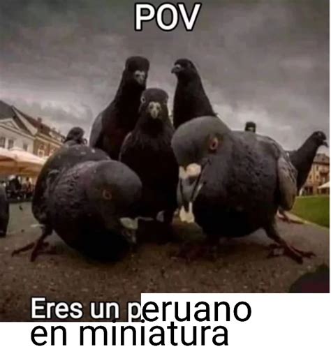 Top Memes De Peruanos En Español Memedroid