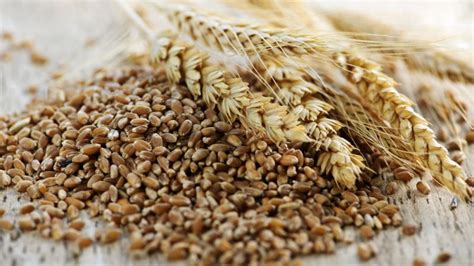 Wholegrain Rich Diet Lifeline For Struggling Health Systems Experts