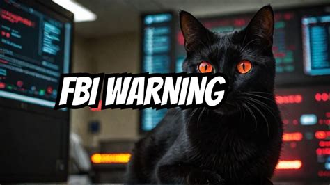 BlackCat Ransomware A Threat To US Hospitals FBI CISA Warn Feb 27