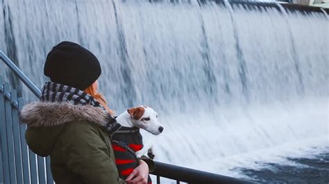 Haluaisitko olla Tampereen tekijä