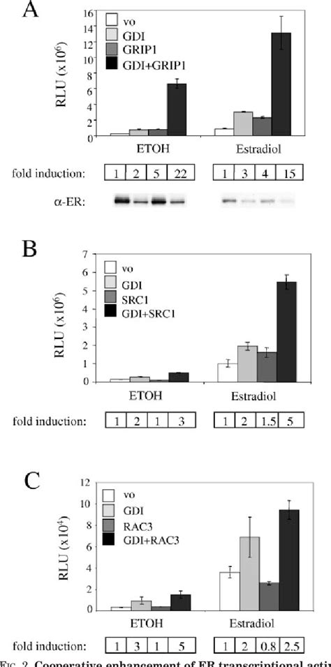 Figure From Regulation Of Grip And Cbp Coactivator Activity By Rho