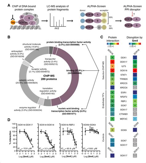 Mapping Of Sox Interactome And Disruption Of Interactions By Sm A