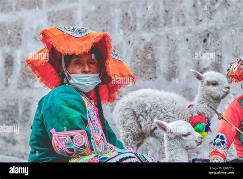 Peruvian Woman In Traditional Clothes Holding A Baby Llama In Street