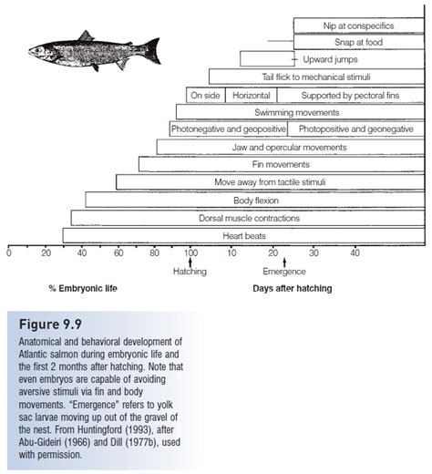 Larval behavior and physiology 