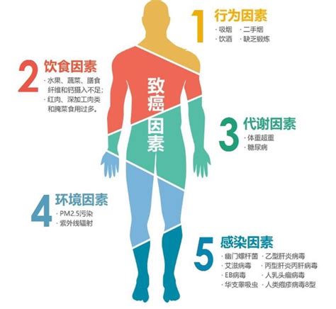 国际公认的23种致癌因素公布该如何远离这篇全说清楚了 癌症 新浪科技 新浪网